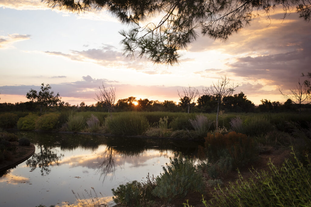 Un atardacer de boda