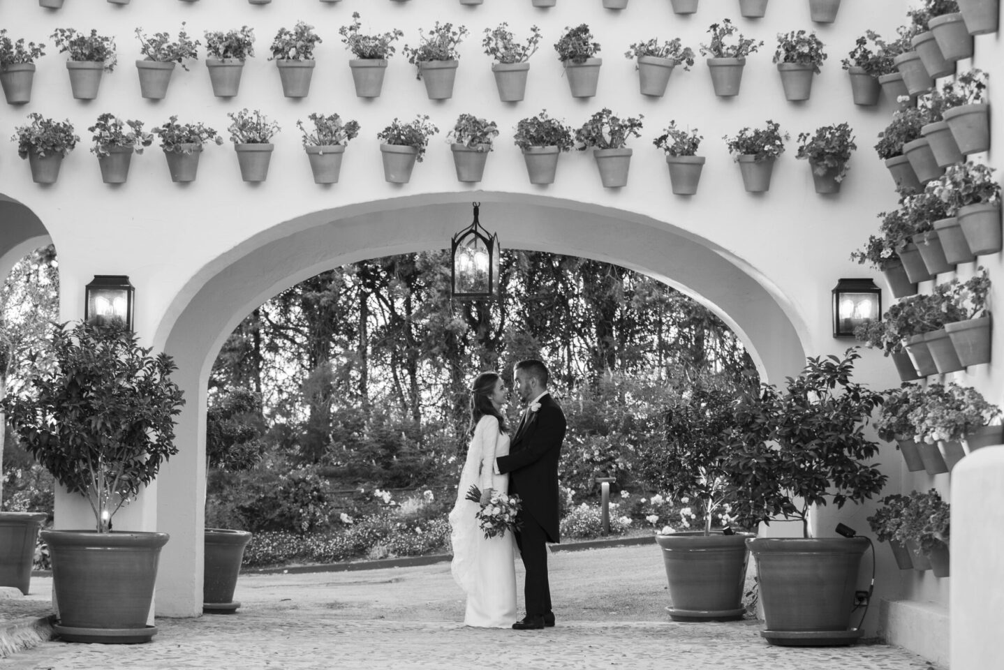 Fotografos en Cortijo de Mónico
